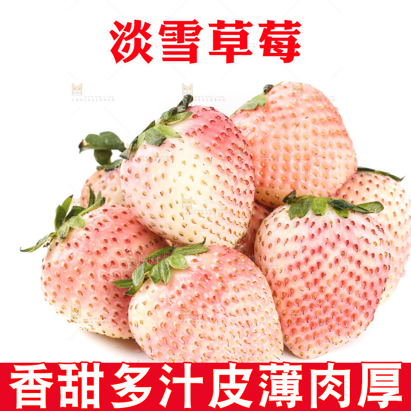 白底上的淡雪草莓