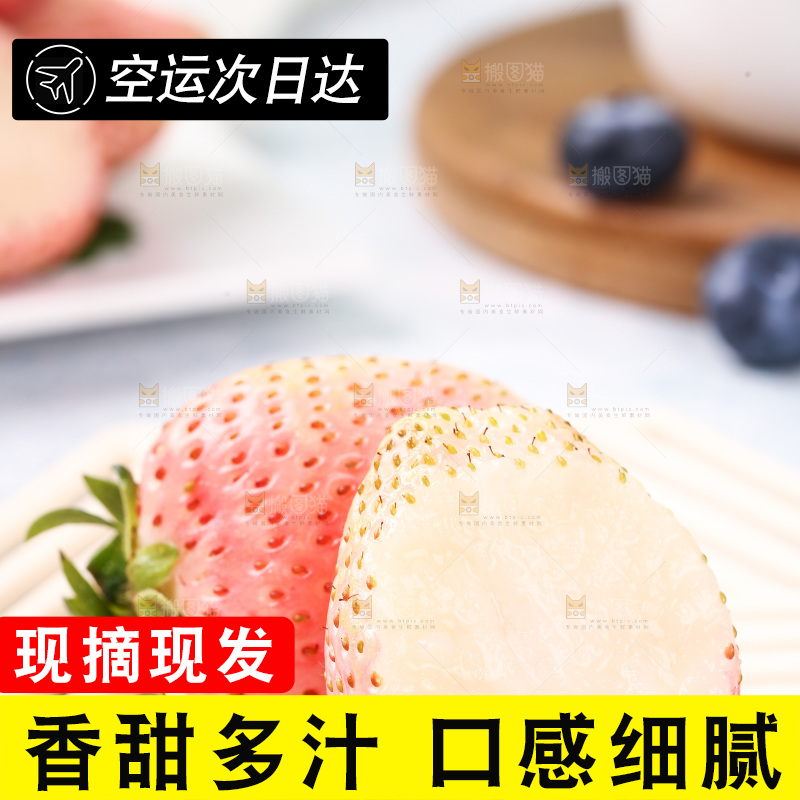 浅底上的淡雪草莓