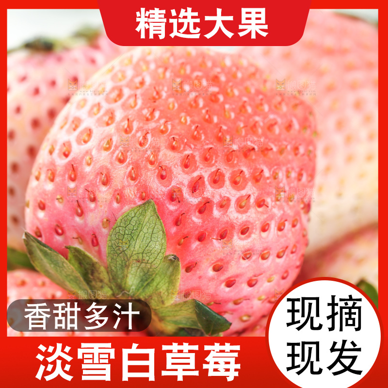 浅底上的淡雪草莓