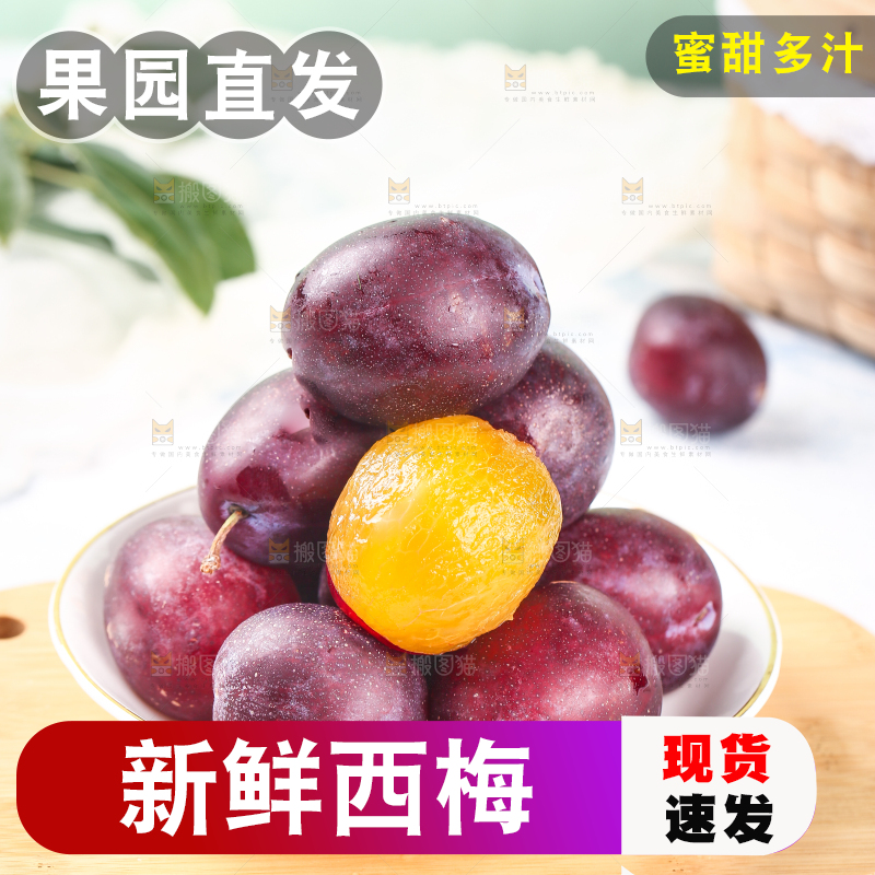 浅底上的澳洲西梅