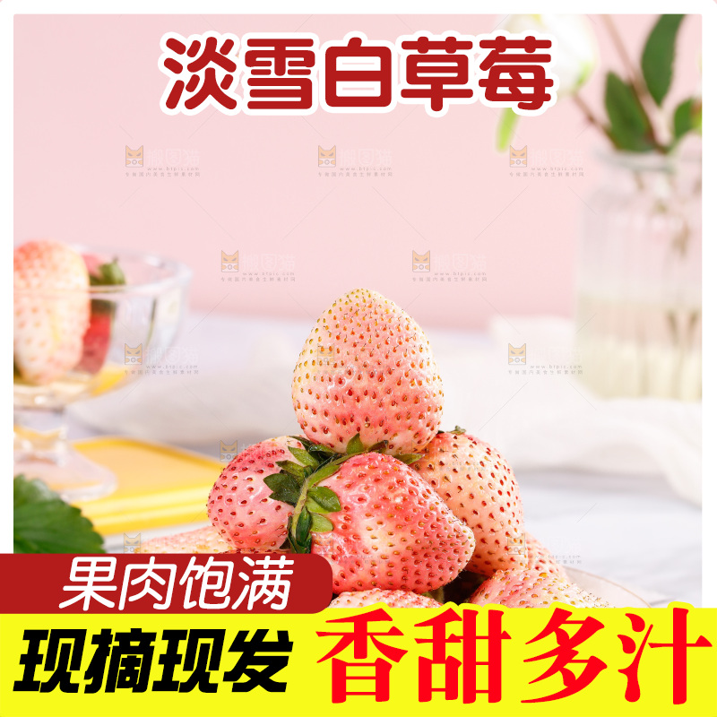 浅底上的淡雪草莓