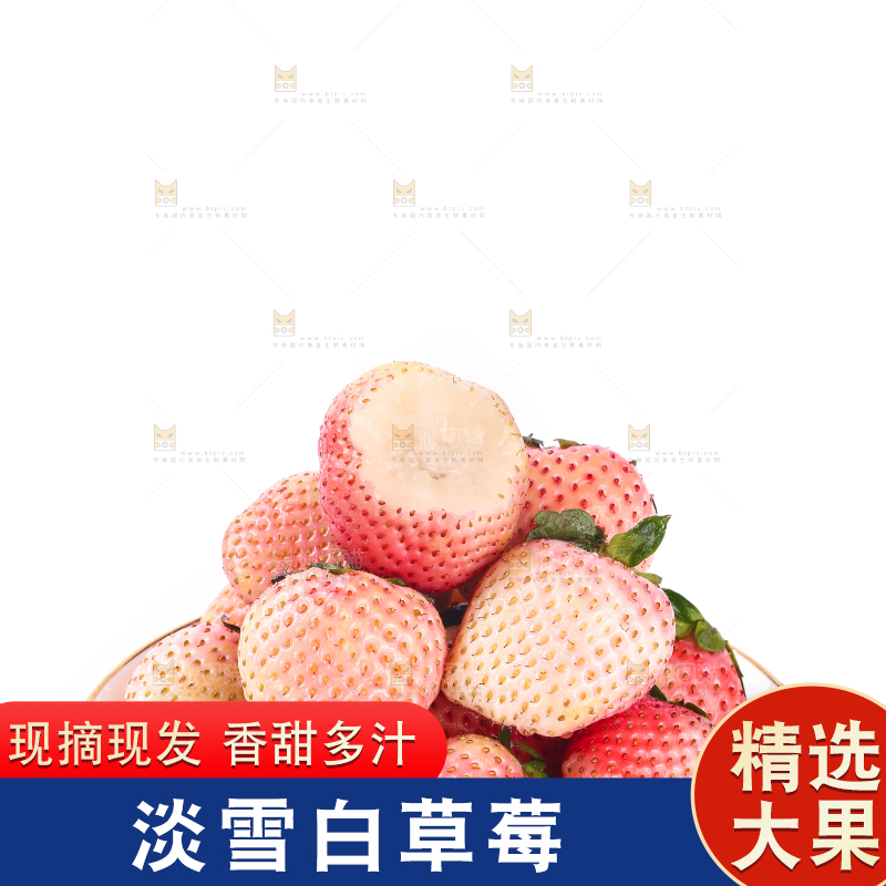 白底上的淡雪草莓