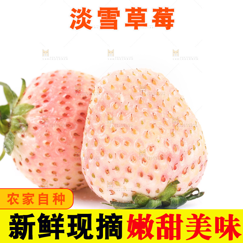 白底上的淡雪草莓