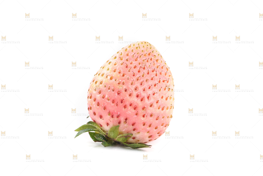 白底上的淡雪草莓