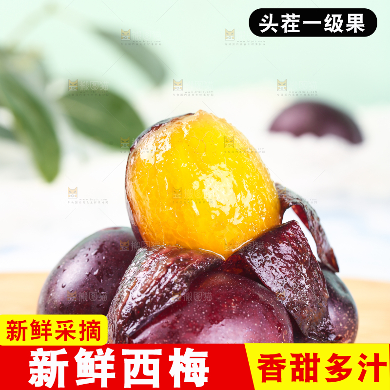 浅底上的澳洲西梅