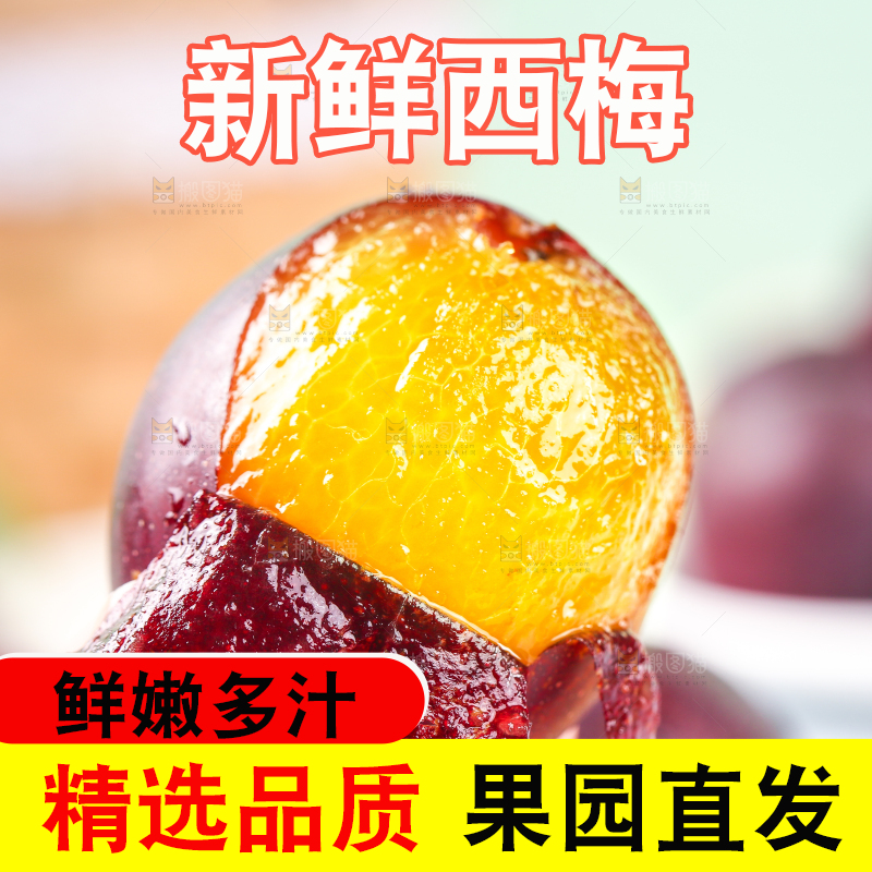 浅底上的澳洲西梅