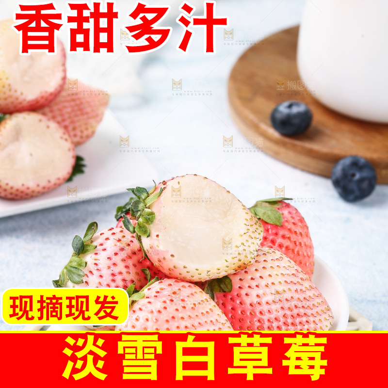 浅底上的淡雪草莓