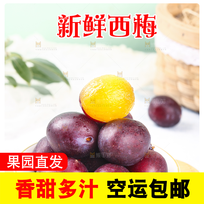 浅底上的澳洲西梅