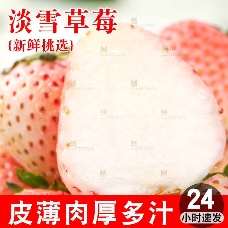 浅底上的淡雪草莓