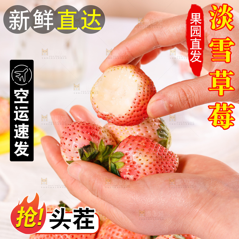 浅底上的淡雪草莓