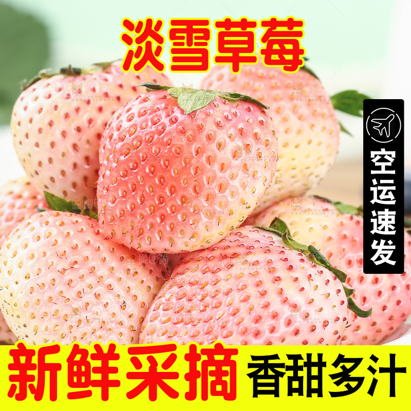 浅底上的淡雪草莓