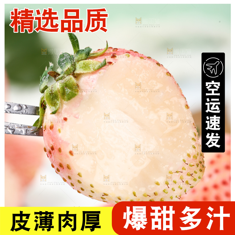 浅底上的淡雪草莓