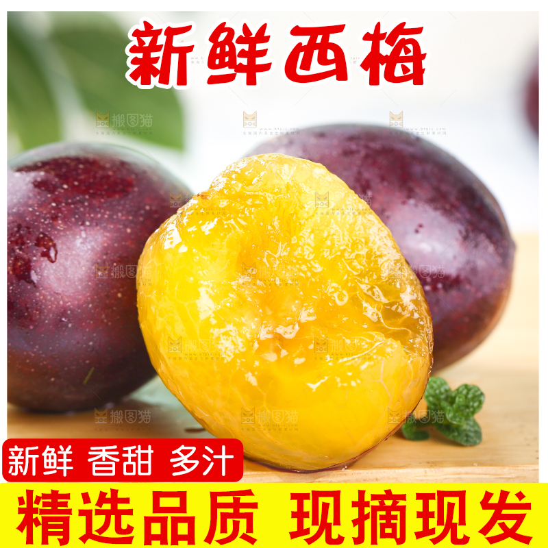 浅底上的澳洲西梅