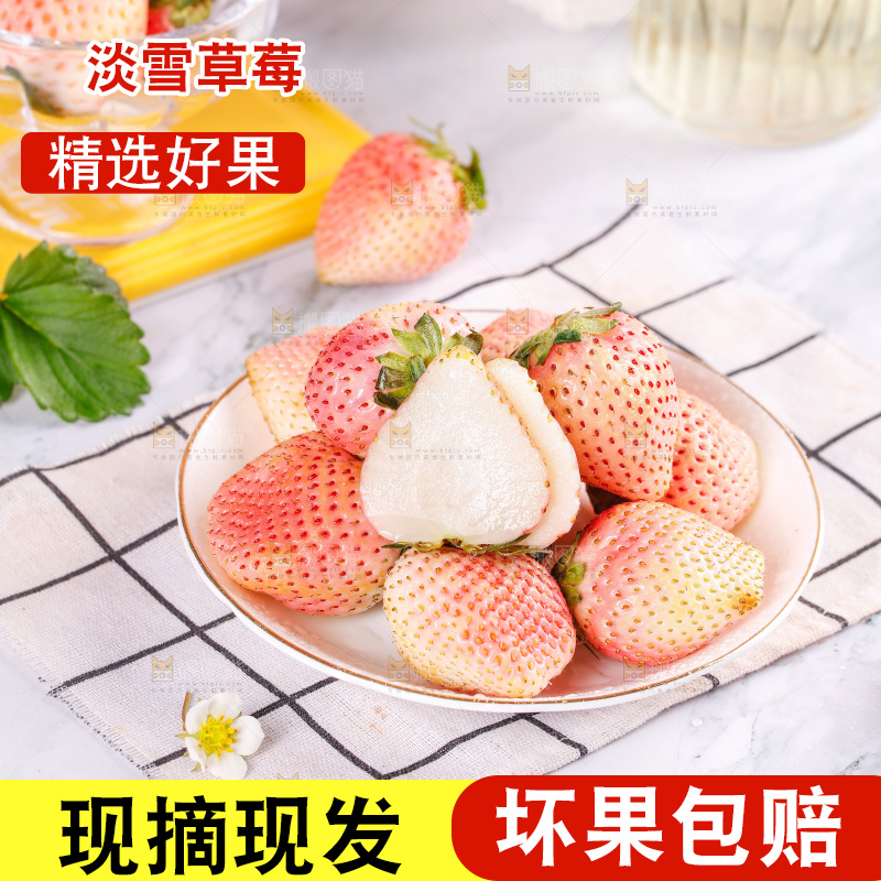 浅底上的淡雪草莓