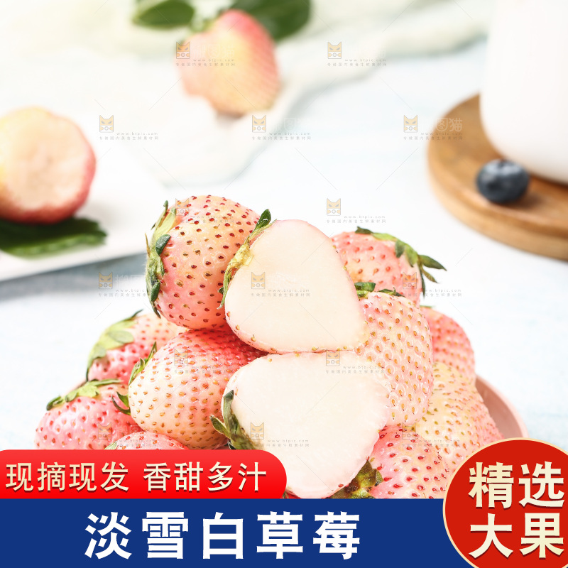 浅底上的淡雪草莓
