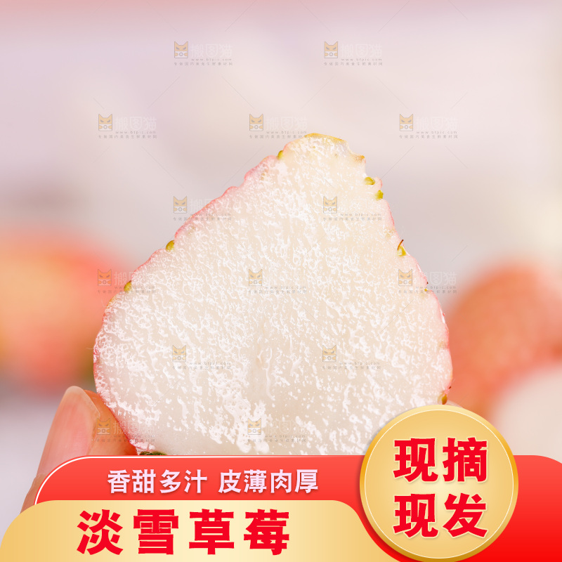 浅底上的淡雪草莓