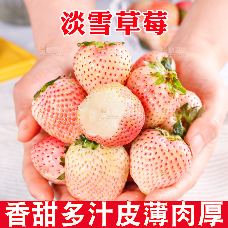 浅底上的淡雪草莓