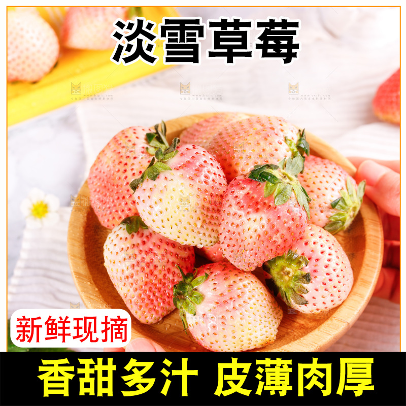 浅底上的淡雪草莓