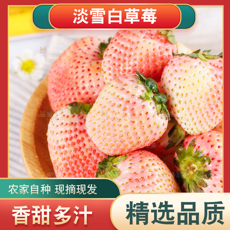 浅底上的淡雪草莓