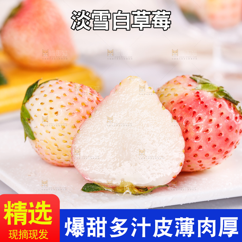 浅底上的淡雪草莓