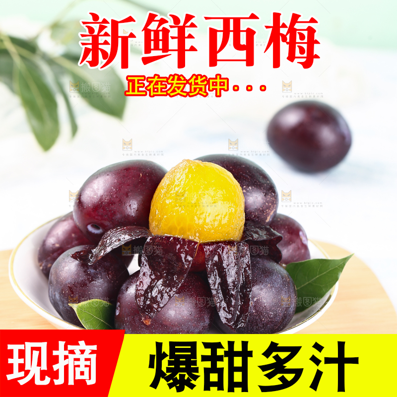 浅底上的澳洲西梅