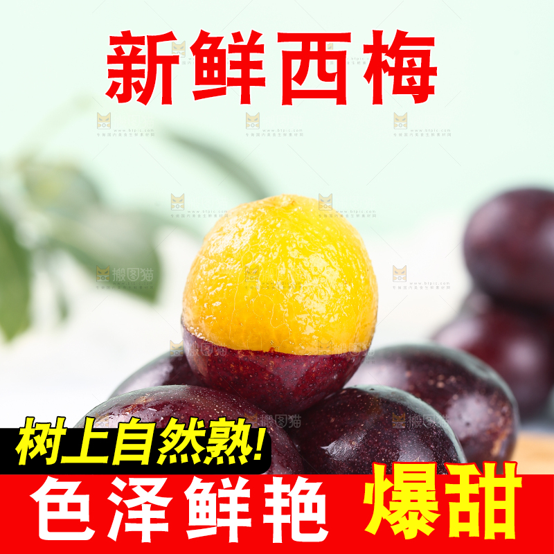 浅底上的澳洲西梅