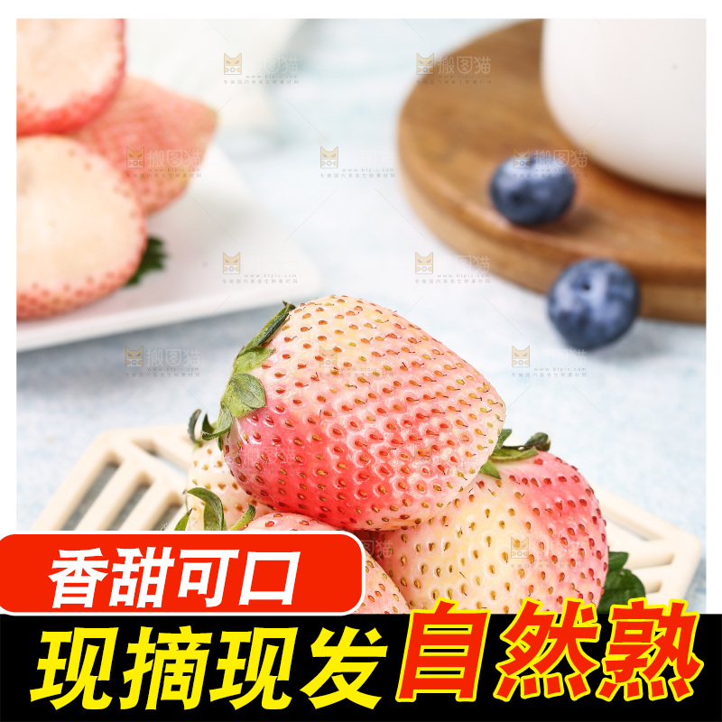 浅底上的淡雪草莓