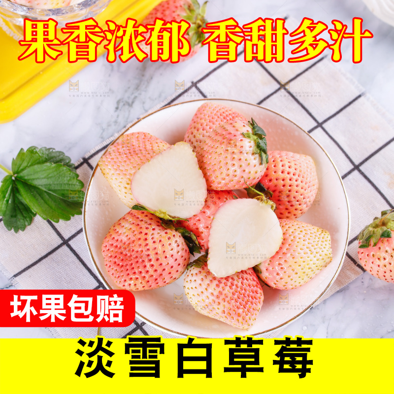 浅底上的淡雪草莓