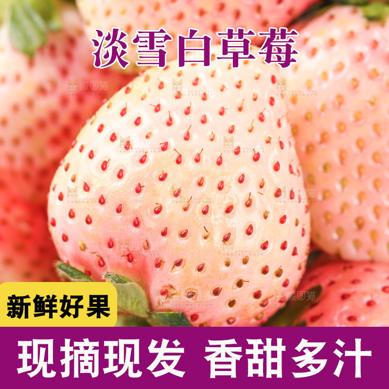 浅底上的淡雪草莓
