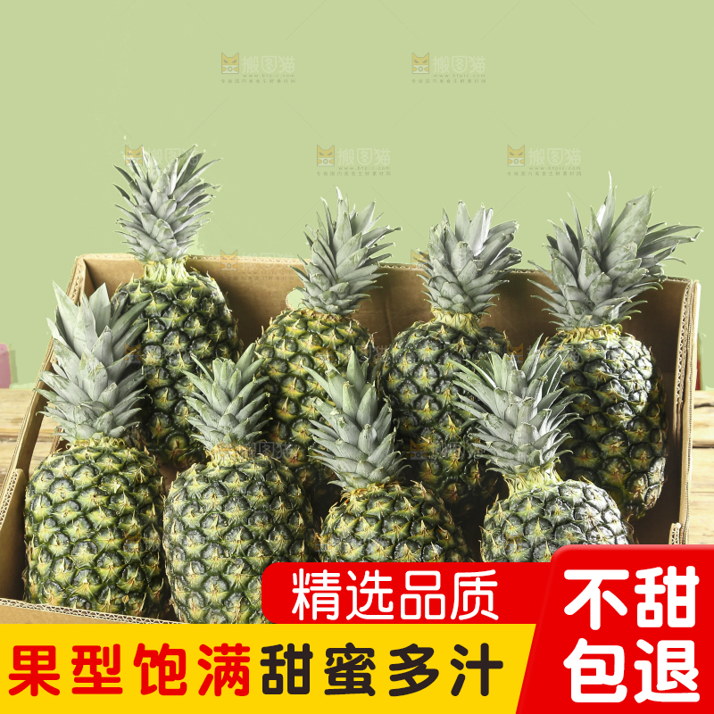 深底上的新鲜凤梨
