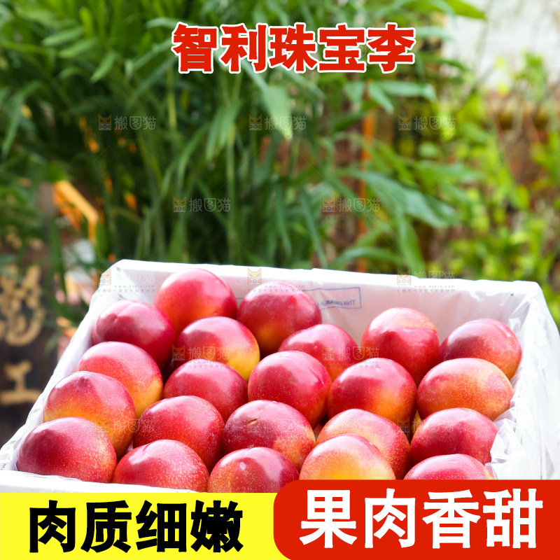 木底上的珠宝李