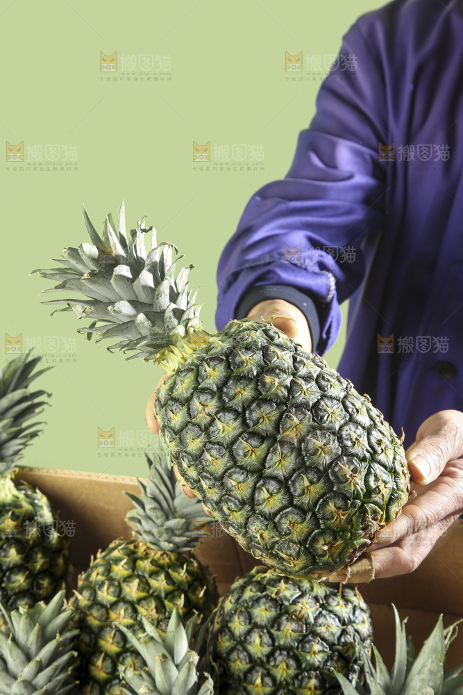 深底上的新鲜凤梨