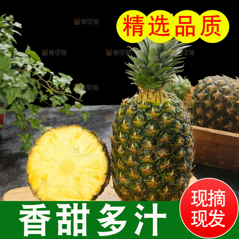 深底上的新鲜凤梨