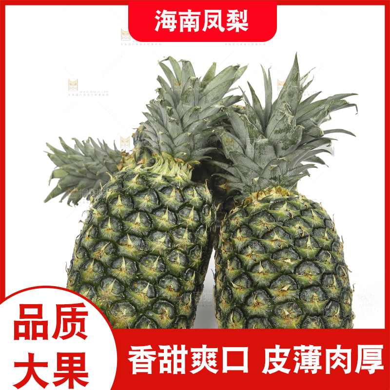 白底上的新鲜凤梨