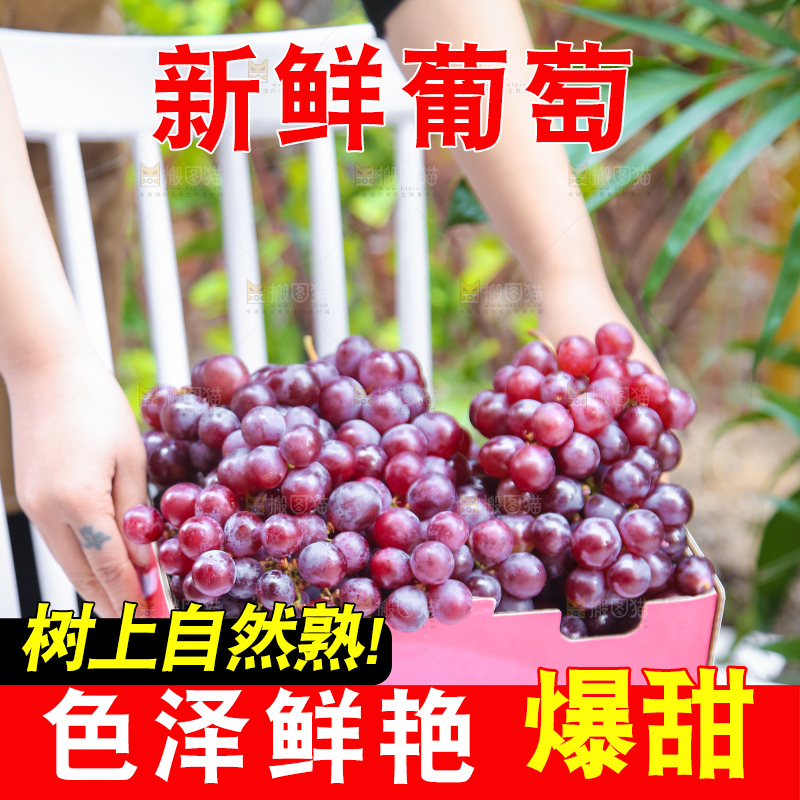 手里拿着新鲜葡萄