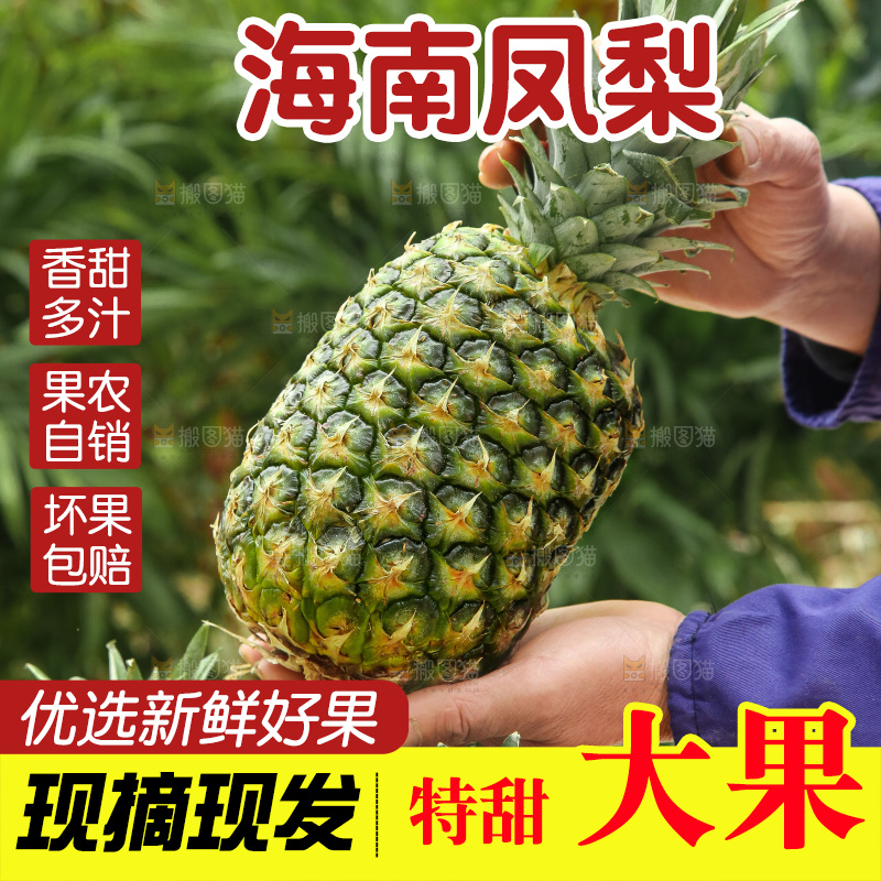 手里拿着新鲜凤梨