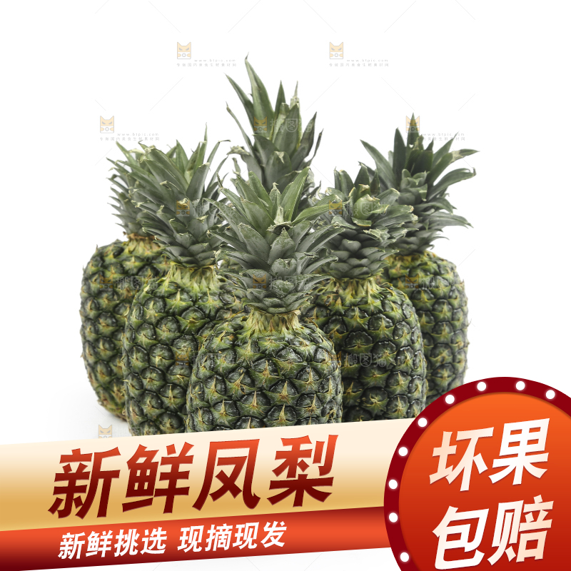 白底上的新鲜凤梨