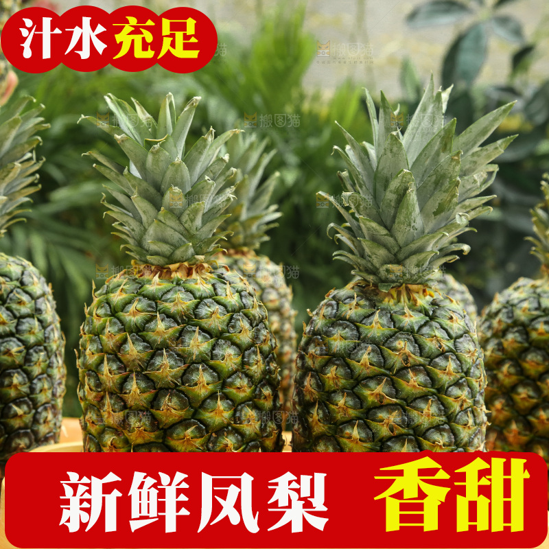 深底上的新鲜凤梨