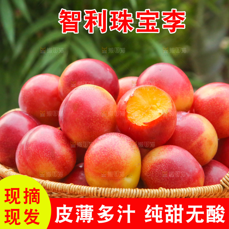 木底上的珠宝李
