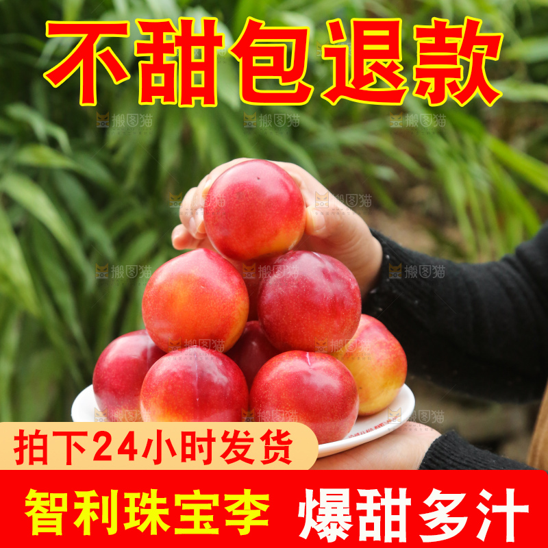木底上的珠宝李