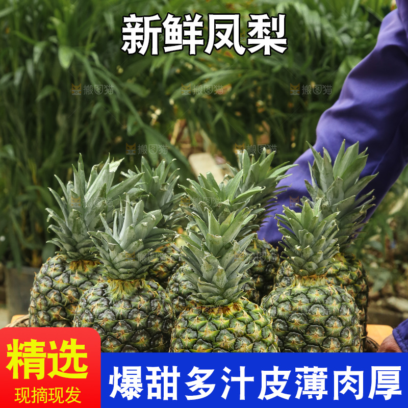 深底上的新鲜凤梨