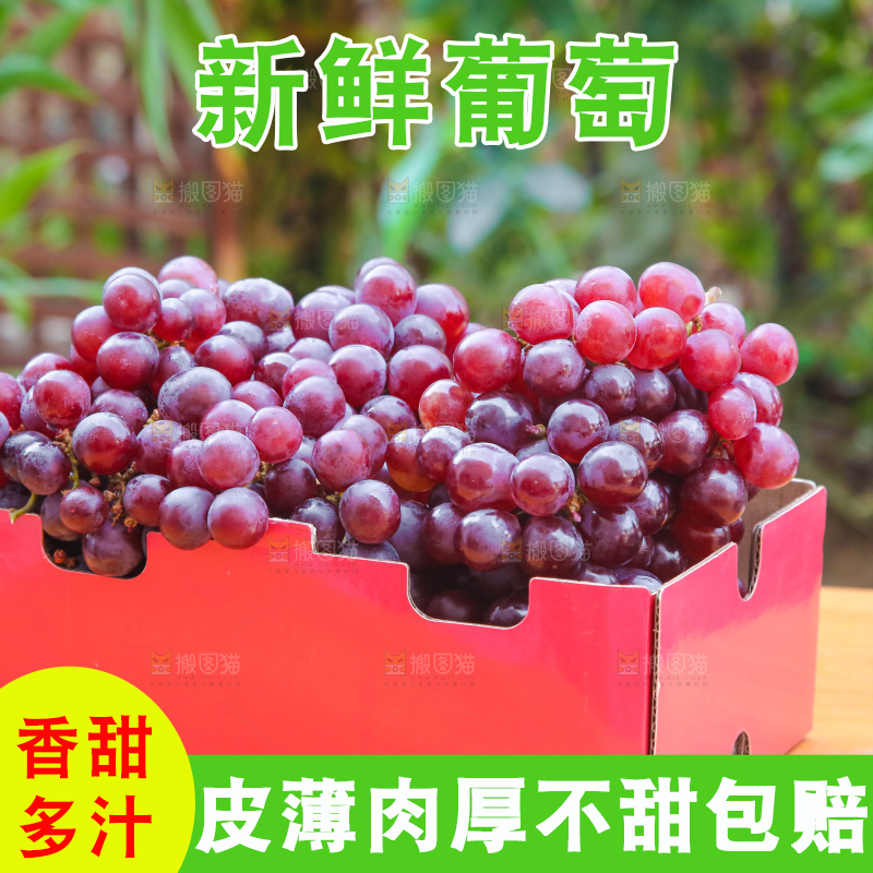 手里拿着新鲜葡萄