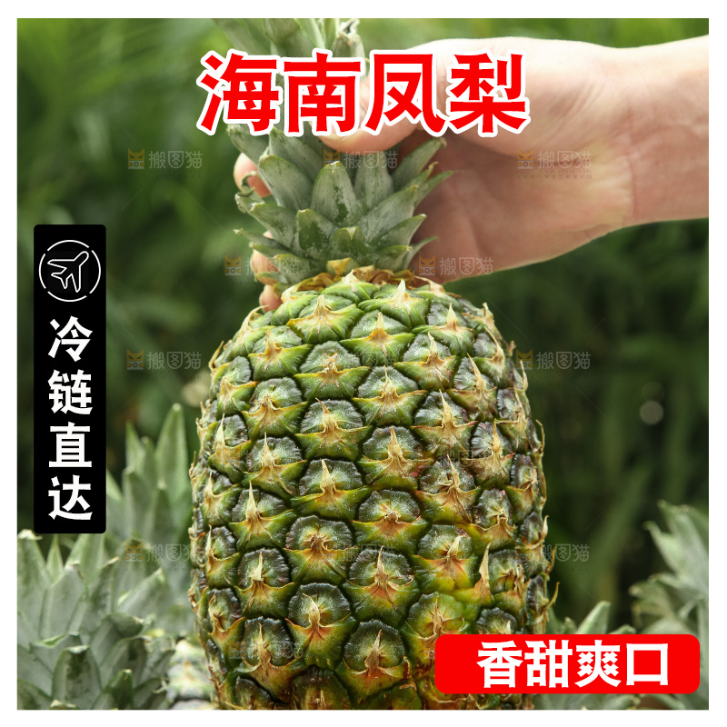 手里拿着新鲜凤梨