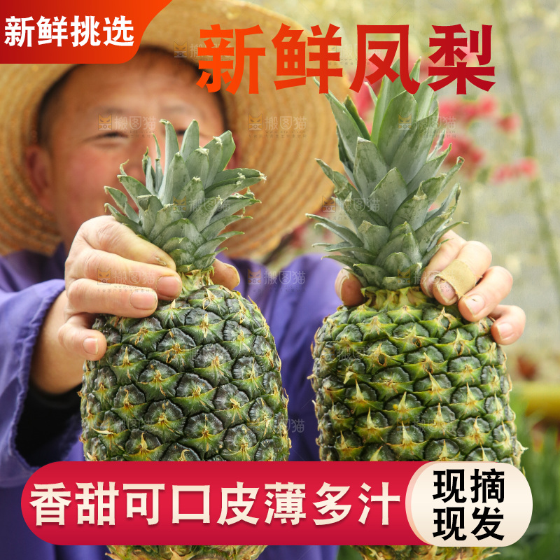 手里拿着新鲜凤梨