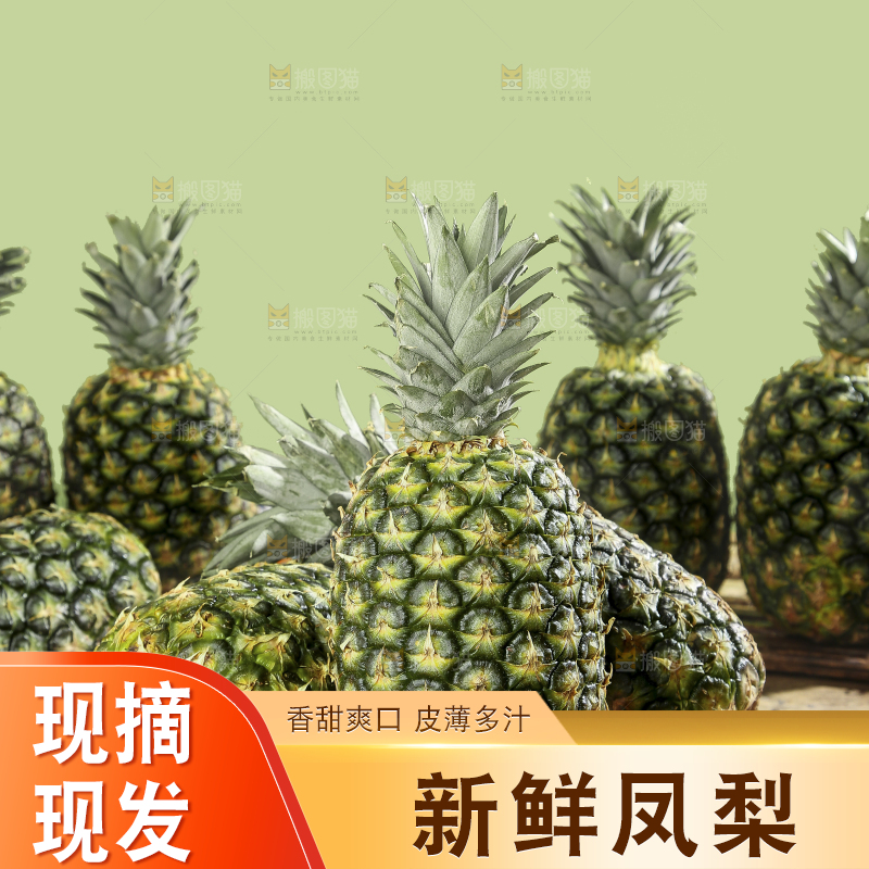 深底上的新鲜凤梨
