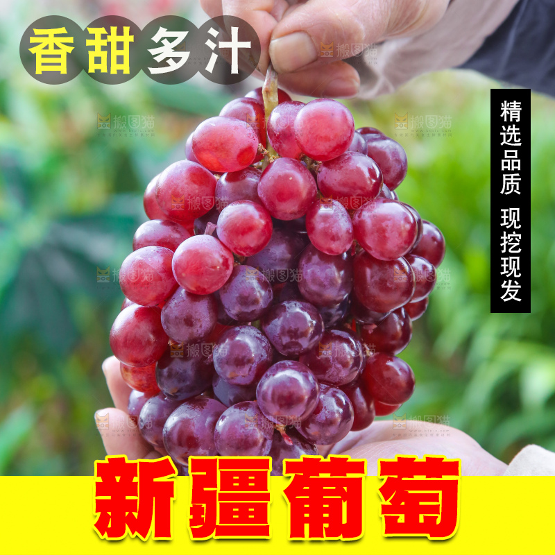 手里拿着新鲜葡萄
