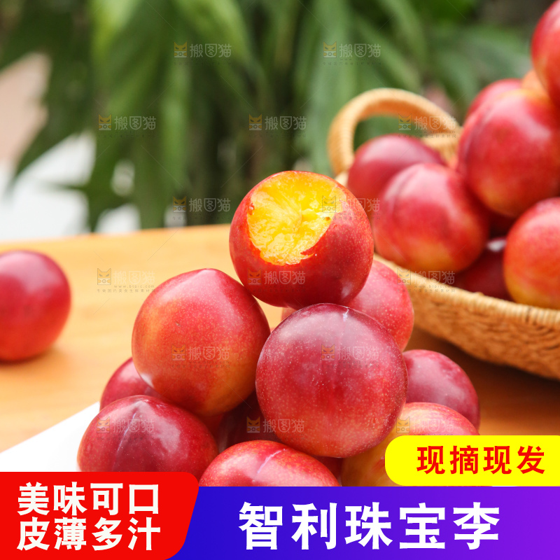 木底上的珠宝李