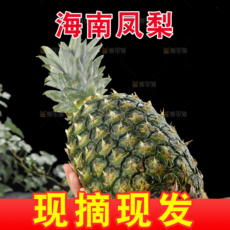 深底上的新鲜凤梨