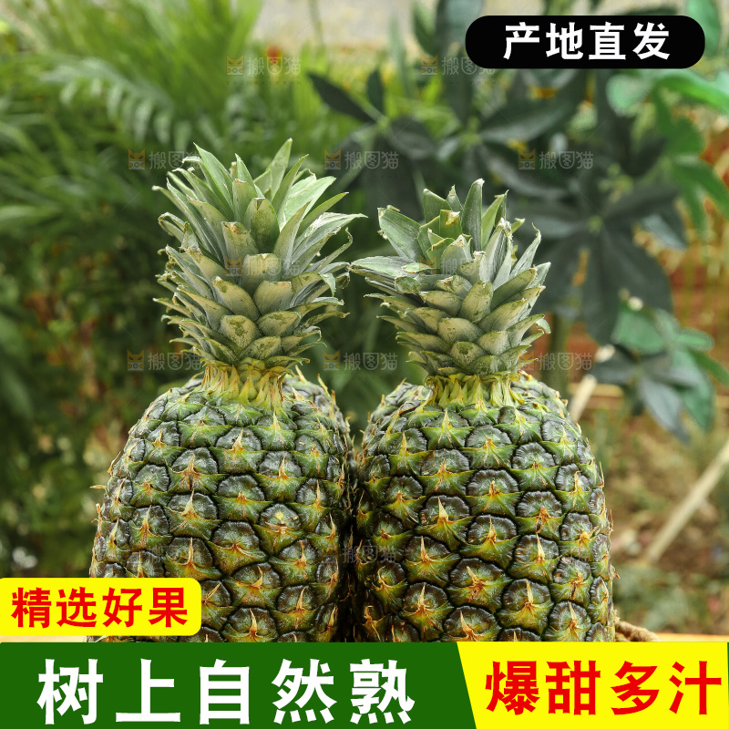 深底上的新鲜凤梨