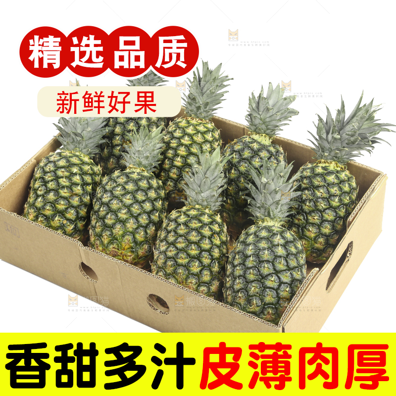 白底上的新鲜凤梨
